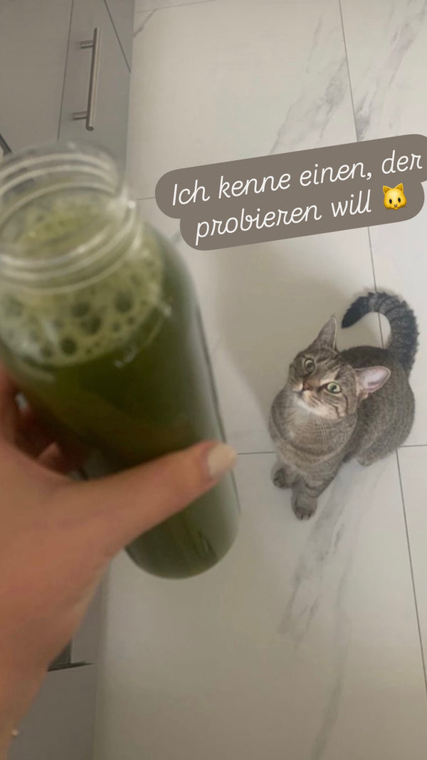 Story client matcha