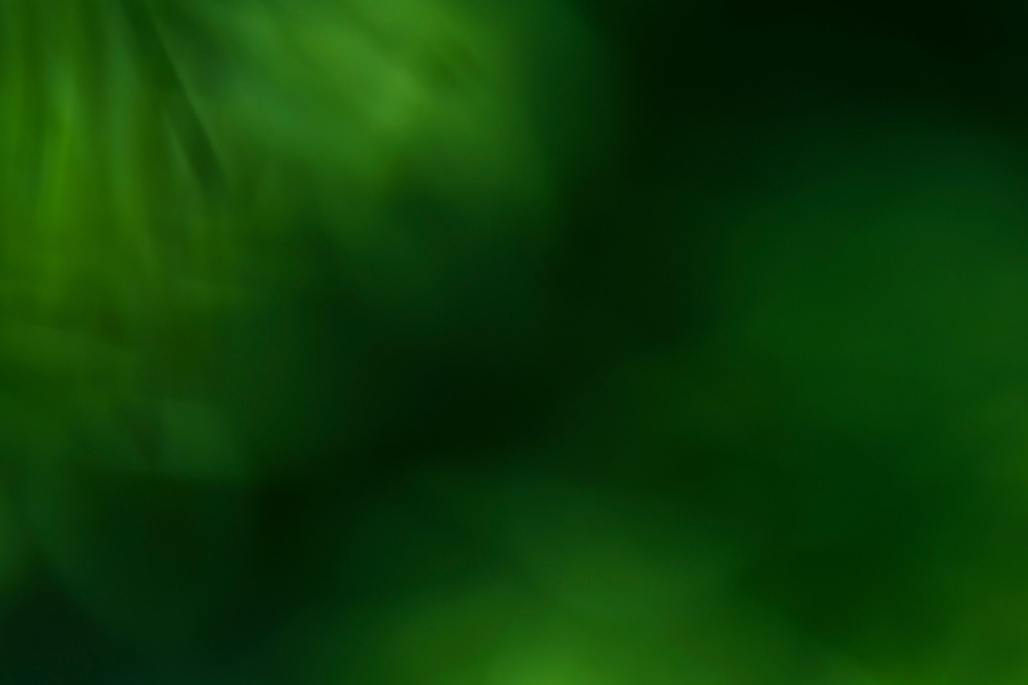 Hero Green Smoke Background